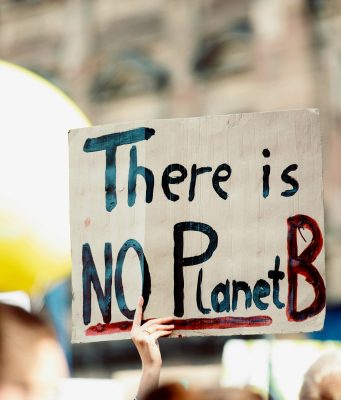 Brookline Department Of Public Works Launches Climate Action & Resiliency Plan