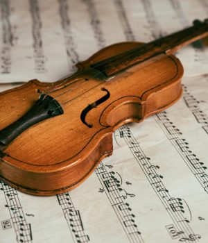 Brookline Symphony Orchestra Announces 2025-2026 Concert Season