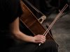 Brookline Symphony Orchestra Announces Maestro Altenbach’s 10th Anniversary Concert Season
